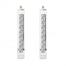 Σκουλαρίκια με Ζιργκόν Δίχρωμα Κ14 - 07204