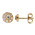 Σκουλαρίκια με Ζιργκόν Χρυσός Κ14 - 09098